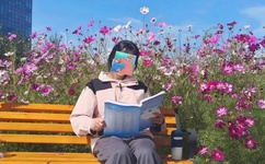 草莓app下载汅api免费秋葵